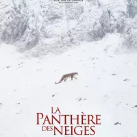 La Panthère des Neiges - 