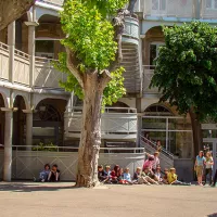 Institut l'Amandier