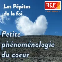 Petite phénoménologie du coeur