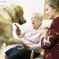 Atelier de zoothérapie avec la chienne Nova, dans la lutte contre la maladie d'Alzheimer, le 8/11/2018. Espace Jeanne Garnier à Paris (75), France. - Photo : Corinne SIMON/CIRIC