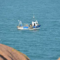 Un bateau en pêche au large de la Bretagne - ©Ronan Le Coz