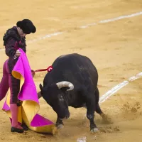 Le matador espagnol Juan Ortega face au taureau dans l'arène de Malaga, le 20/08/2021©JORGE GUERRERO / AFP