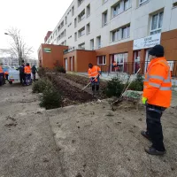 Régie des quartiers @RCF Orne