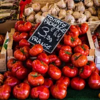 Préserver l'agriculture en Provence. DR