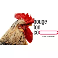 Bouge ton coq!