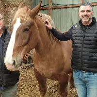 Jean-Jacques et Mathieu Séité, éleveurs de chevaux à Guilers @ Christophe Pluchon, RCF