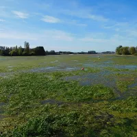 Le Lac d'Auron quasiment à sec en 2019 après la rude sécheresse de l'été ©  Wikimédia Commons