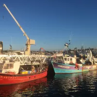 Des bateaux à quai dans le port de pêche de Concarneau (Finistère) - ©Ronan Le Coz (archives)