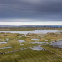 La narse de Nouvialle s'étale sur près de 400 hectares. ©Collectif pour la narse de Nouvialle