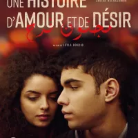 Affiche du film Une histoire d'amour et de désir