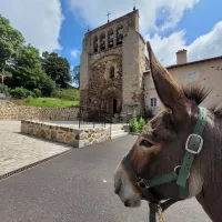 4e épisode, Le Bouchet-Saint-Nicolas - Le Marconnès © Martin Obadia 