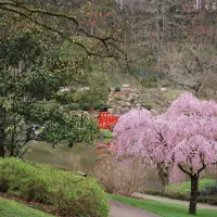 Page Facebook du parc oriental de Maulévrier