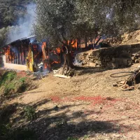 600 poules pondeuses profitaient de cet abris (©Communauté Emmaüs Roya)