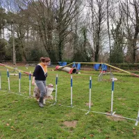 Parcours d'agility © RCF