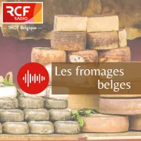 ©Pixabay -1RCF Belgique