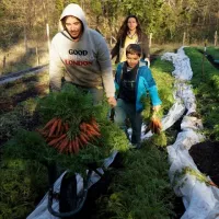 Mathieu Yon avec ses carottes