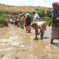 Coeurs solidaires Madagascar