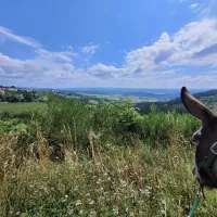 Vue sur Pradelles depuis le Chemin de Stevenson © Martin Obadia