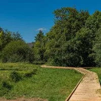 La Fuie des vignes, 80ha à Alençon consacrés à la biodiversité terrestre et aquatique @alencon.fr