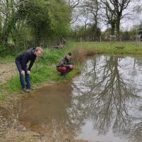 Jérôme Bertrand et Dorian Angot, du CPIE Loire-Anjou, et Hugo Coutand, qui a créé cette mare avec son père en 2013, scrutent l'eau à la recherche d'amphibiens. ©RCF Anjou