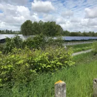 Energie solaire avec la centrale d'Oxelaere (59) (c) RCF Hauts de France Anne Henry