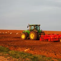 Un agriculteur travaille dans un champ, accompagné par des cigognes - © piqsels