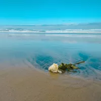 ©tous droits réservés