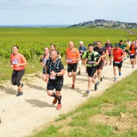 Le Trail de Sancerre © Nicole Gevrey.
