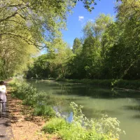 Le canal de Berry à vélo © RCF.