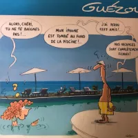 Le dessinateur Yves Guezou attendu à Audenge