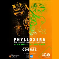 Le Cognaçais et le phylloxéra