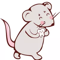 L'histoire de la petite souris enfin révélée ! © Pinterest.