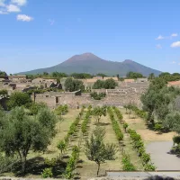 Pompéi : terre fertile au pied du Vésuve. © Wikipedia.