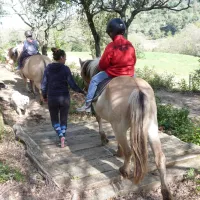 Le domaine de Fraisse dans l'Aude est un lieu de répit pour les personnes autistes et leur famille ©Terre d'Avenir