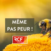© Pas Peur Alsace