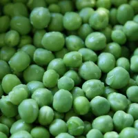 Tendres et sucrés, les petits pois sont là !