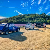 Des circuits en 2CV sont proposés pour découvrir le plateau de Valensole