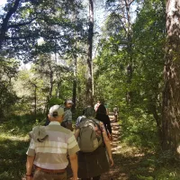 Balade en forêt de Brocéliande. ©Margot Douétil