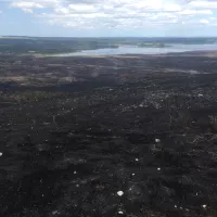 1771 hectares ont brûlés dans les monts d'Arrée - ©Ronan Le Coz