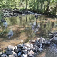 La Borne à Saint-Vidal fait partie des cours d'eau surveillés chaque année. ©Cédric Bonnefoy