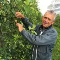 Laurent Rougerie, Président du syndicat AOP pomme du Limousin