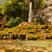 Visites Nature Vercors