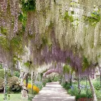 Le parc Floral d'Apremont-sur-Allier. © Facebook Officiel.