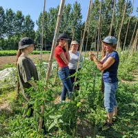 3 jeunes et leur encadrante sur le chantier d'insertion Nature Solidaire