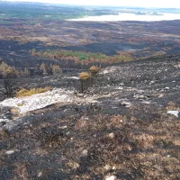 Les monts d'Arrée dévastés après l'incendie, le 28 juillet - ©Ronan Le Coz