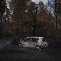 Entre le 9 août et le 14 aout, 7.400 hectares de forêt ont brûlé près d'Hostens, en Gironde, le 14/08/2022 ©Valentina Camu / Hans Lucas