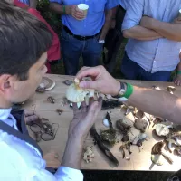 Jacques Marcon, chef 3 étoiles, avec le mycologue Jean-Manuel Martin. Auvergne Toques Chaud. Crédit : Vincent Imbert