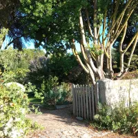 Le jardin du Lazaret sur l'île Tatihou ©RCF Manche