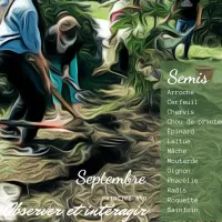 Les principes de la permaculture par Graines de Troc