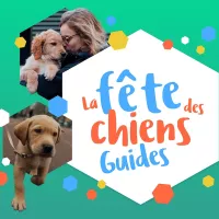 Fête des chiens guides - © Association des chiens guides de France